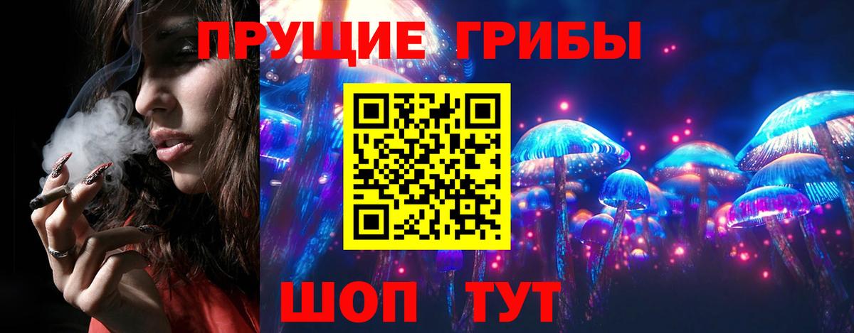 Псилоцибиновые грибы мухоморы  Вход с VPN  купить наркотики цена  Куйбышев  Галлюциногенные грибы мухоморы 